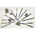 Pricision jardin outils 7" de coupe scie d’élagage pliantes avec des dents pointues